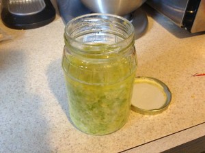 Chinese Ginger Scallion Sauce